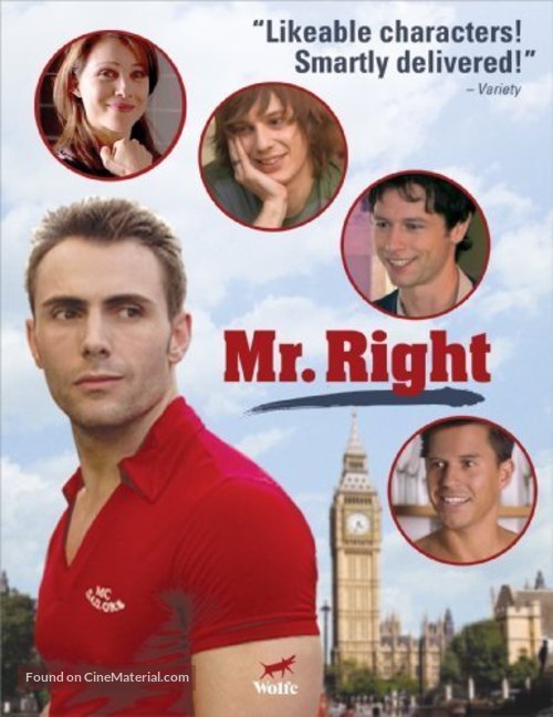 Mr. Right - DVD movie cover