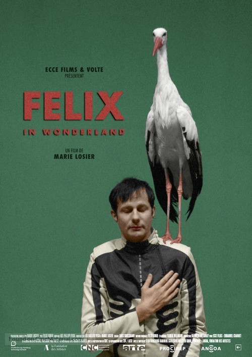 Felix in Wonderland - French Movie Poster