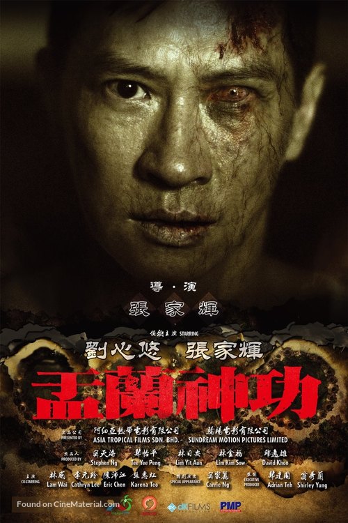 Hungry Ghost Ritual - Chinese Movie Poster