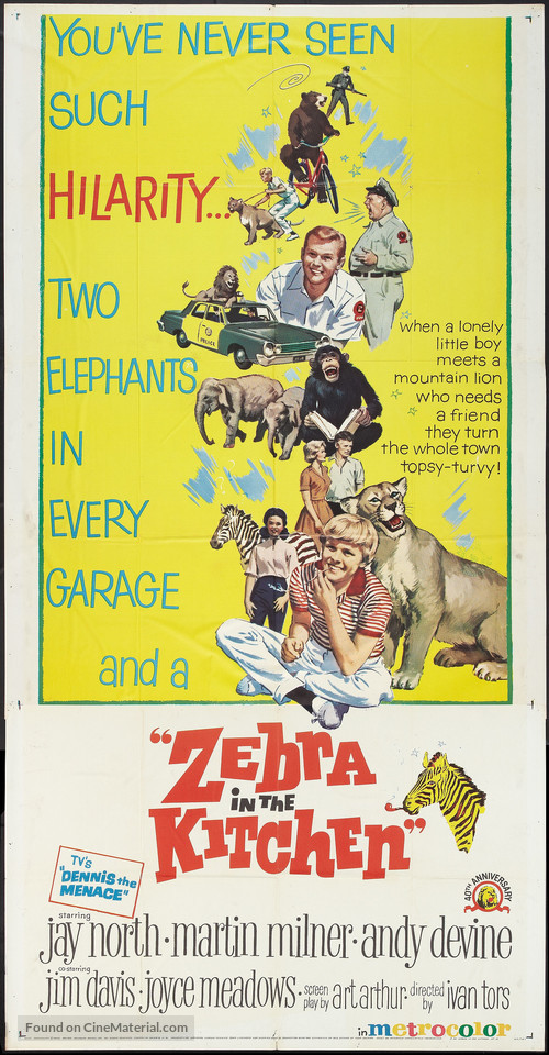 Zebra in the Kitchen - Movie Poster