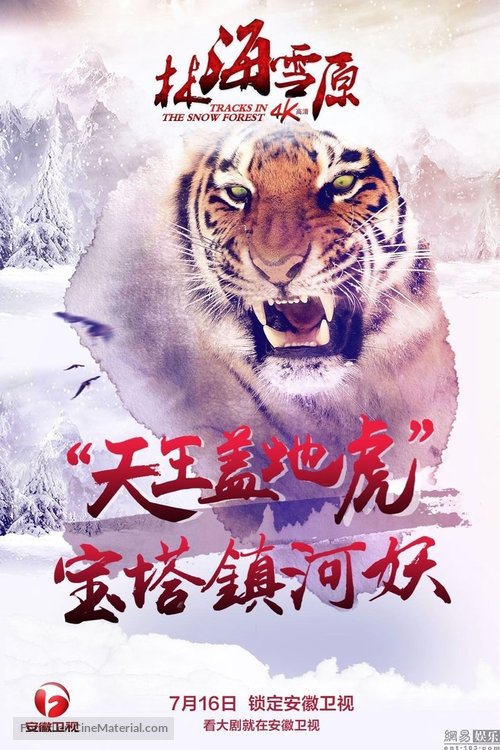 &quot;Lin Hai Xue Yuan&quot; - Chinese Movie Poster