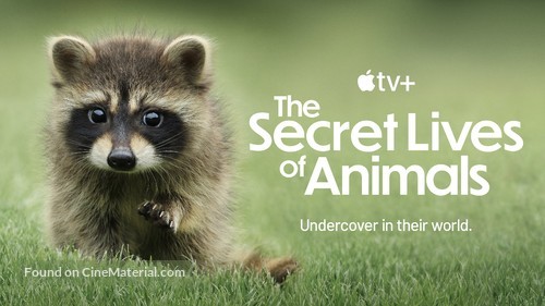 &quot;The Secret Lives of Animals&quot; - Movie Poster