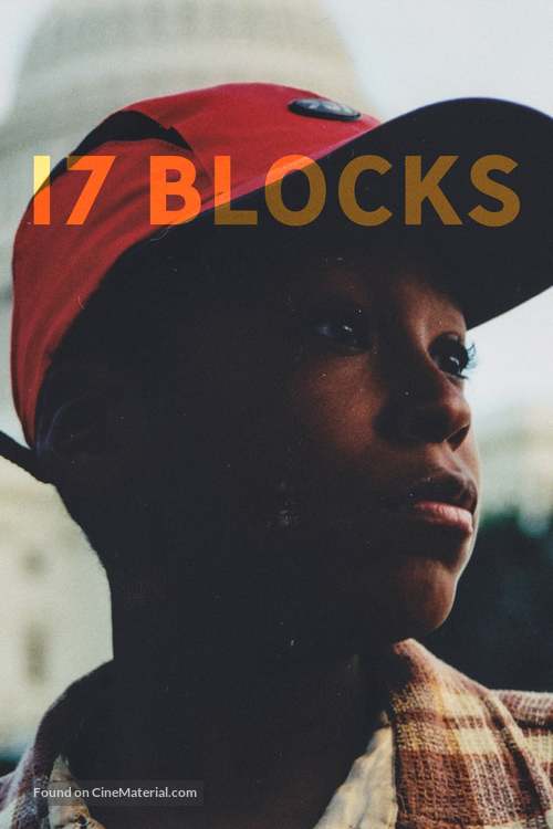 17 Blocks - poster