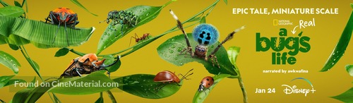 &quot;A Real Bug&#039;s Life&quot; - Movie Poster