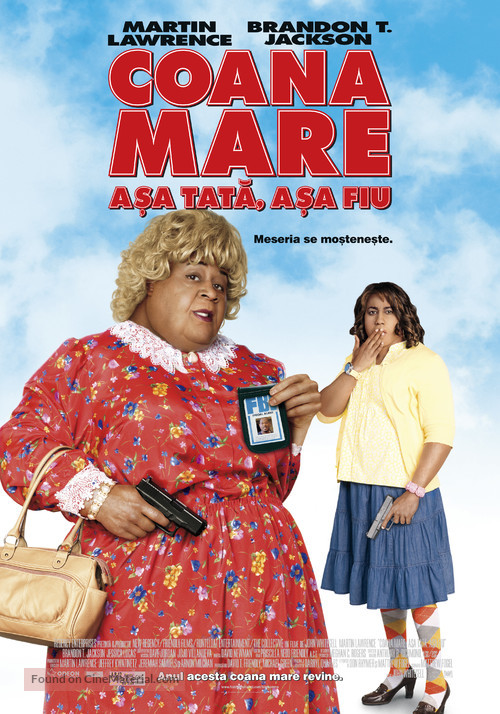 Big Mommas: Like Father, Like Son - Romanian Movie Poster