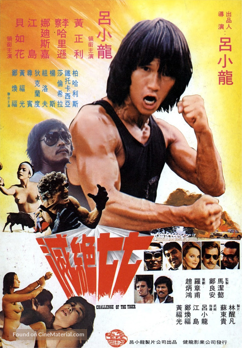 Challenge of the Tiger - Hong Kong Movie Poster