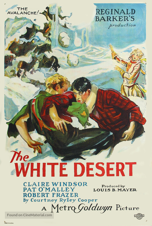 The White Desert - Movie Poster
