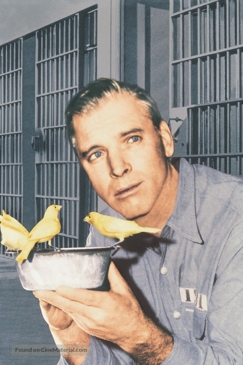 Birdman of Alcatraz - Key art