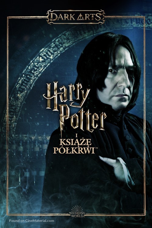 Harry Potter and the Half-Blood Prince - Polish Video on demand movie cover