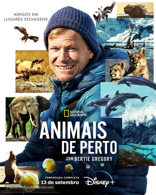 &quot;Animals Up Close with Bertie Gregory&quot; - Brazilian Movie Poster