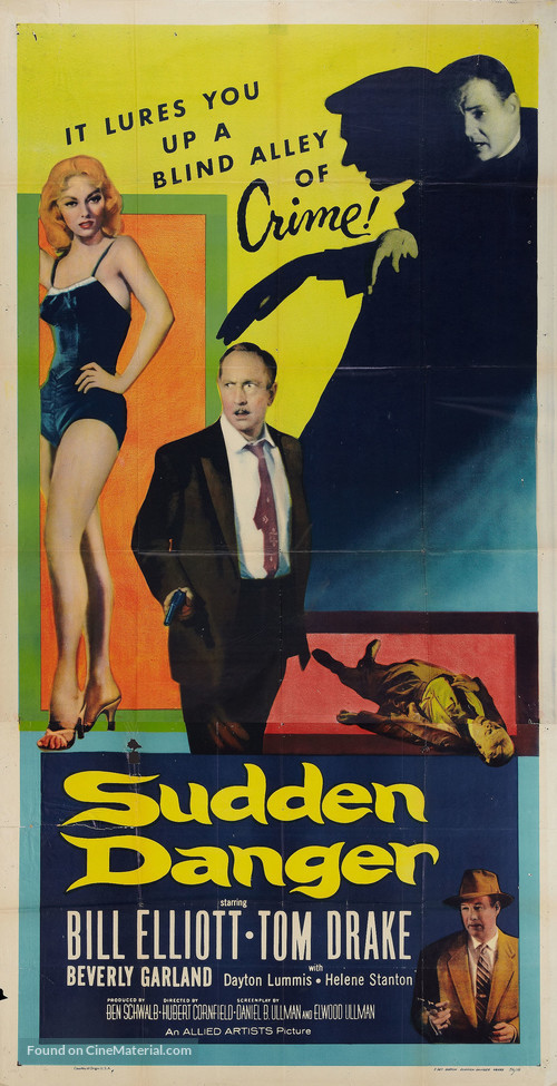 Sudden Danger - Movie Poster