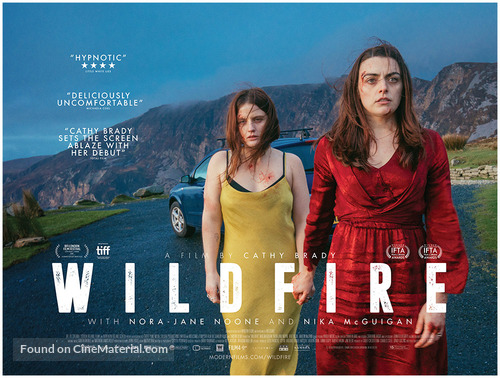 Wildfire - Movie Poster