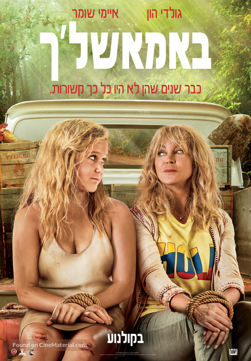 Snatched - Israeli Movie Poster