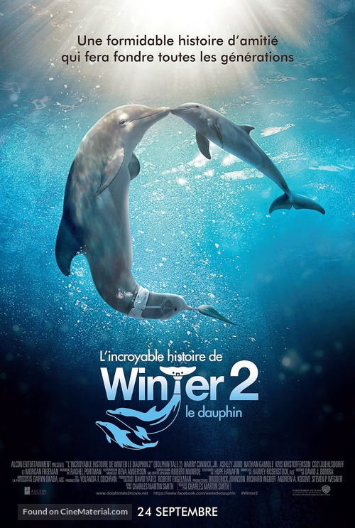 Dolphin Tale 2 - French Movie Poster