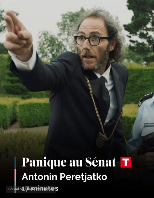 Panique au S&eacute;nat - French Movie Poster