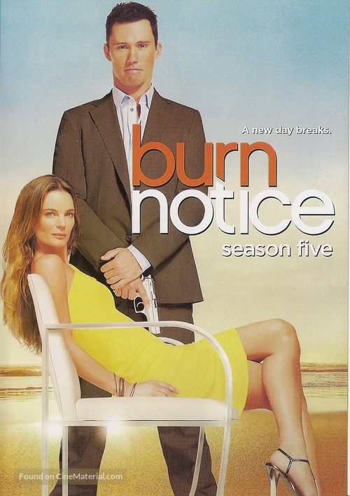 &quot;Burn Notice&quot; - DVD movie cover