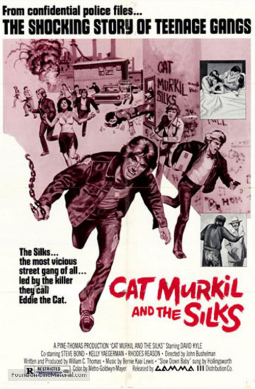 Cat Murkil and the Silks - Movie Poster