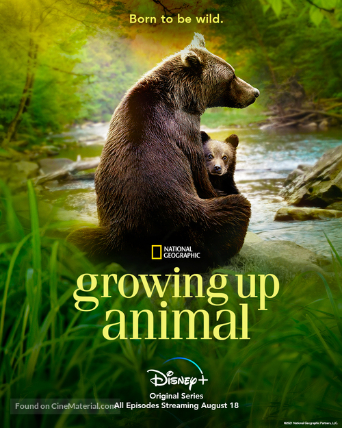 &quot;Growing Up Animal&quot; - Canadian Movie Poster