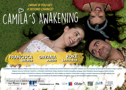 El Despertar de Camila - Chilean Movie Poster