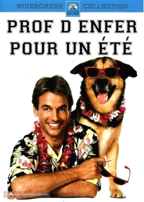 Summer School - French DVD movie cover