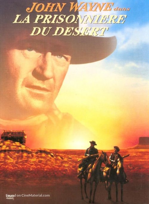 The Searchers - French DVD movie cover