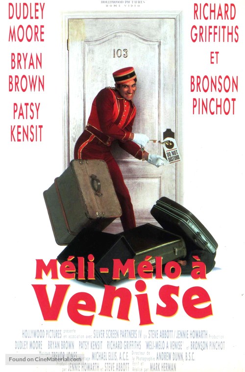 Blame It on the Bellboy - French DVD movie cover