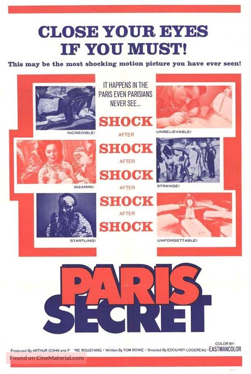 Paris Secret - Movie Poster