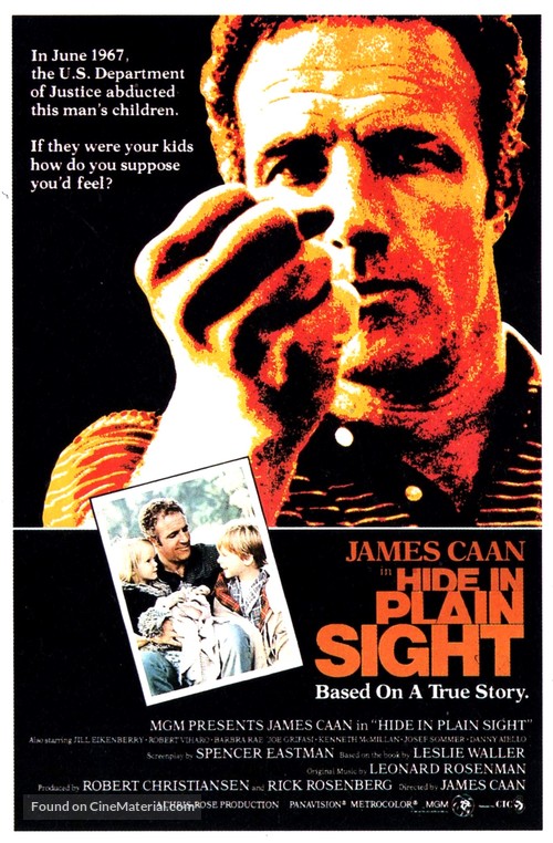 Hide in Plain Sight - Movie Poster