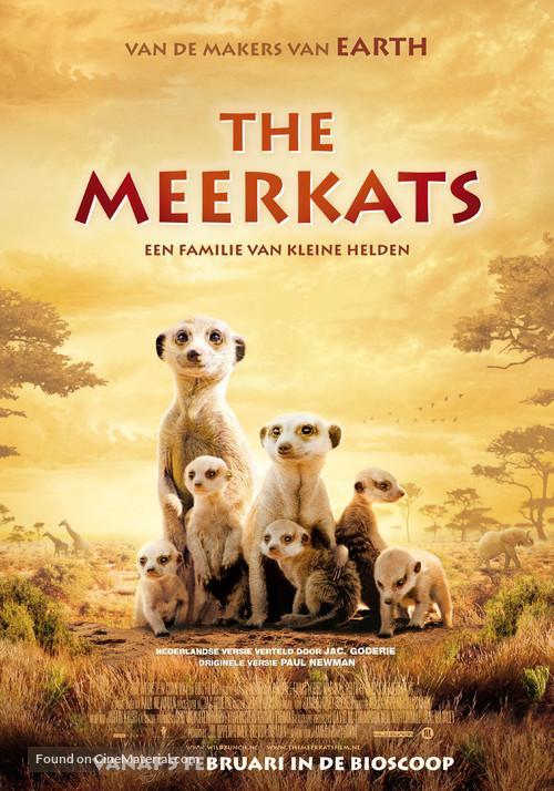 The Meerkats - Dutch Movie Poster
