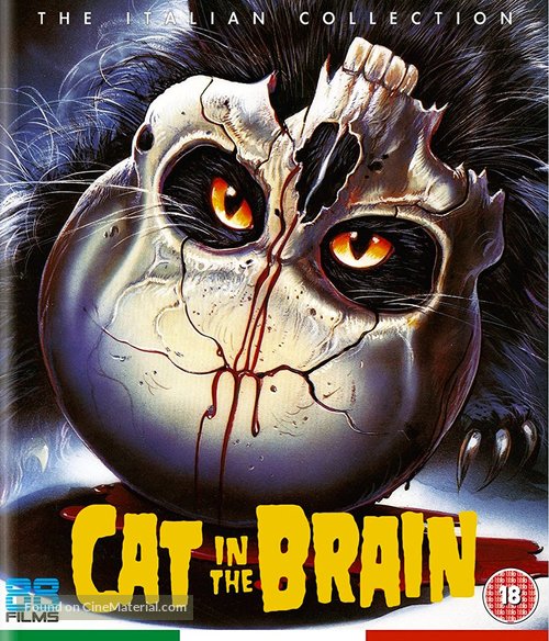 Un gatto nel cervello - British Movie Cover