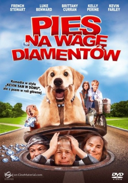 Dog Gone - Polish Movie Poster