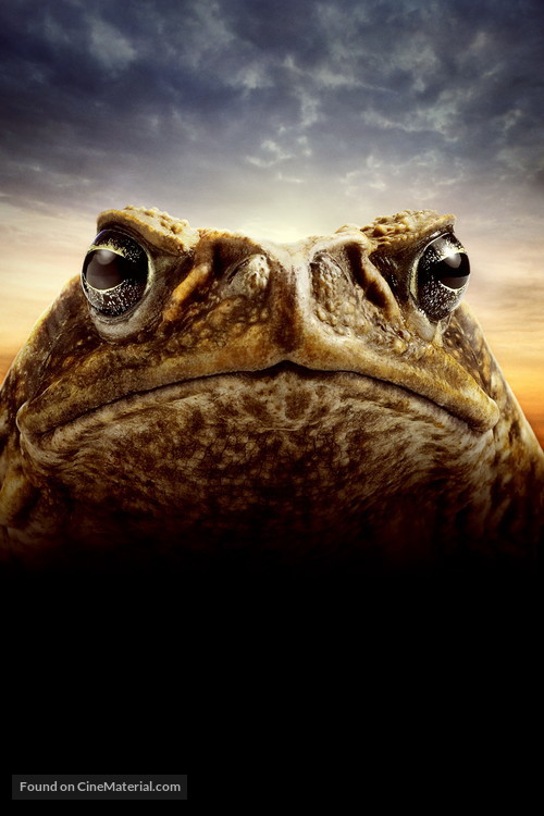 Cane Toads: The Conquest - Key art