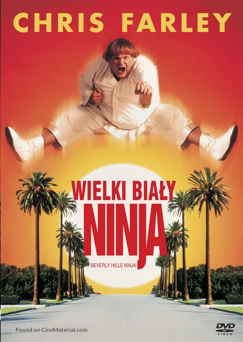 Beverly Hills Ninja - Polish DVD movie cover