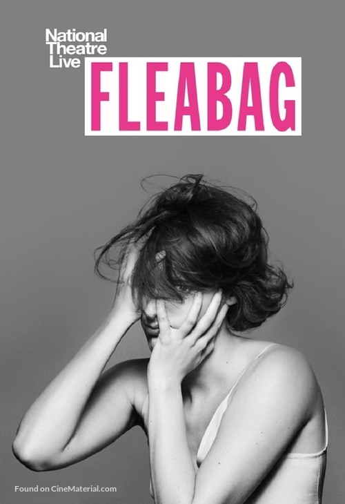 National Theatre Live: Fleabag - British Video on demand movie cover