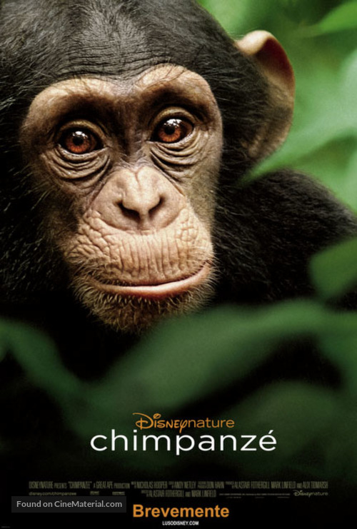 Chimpanzee - Brazilian Movie Poster