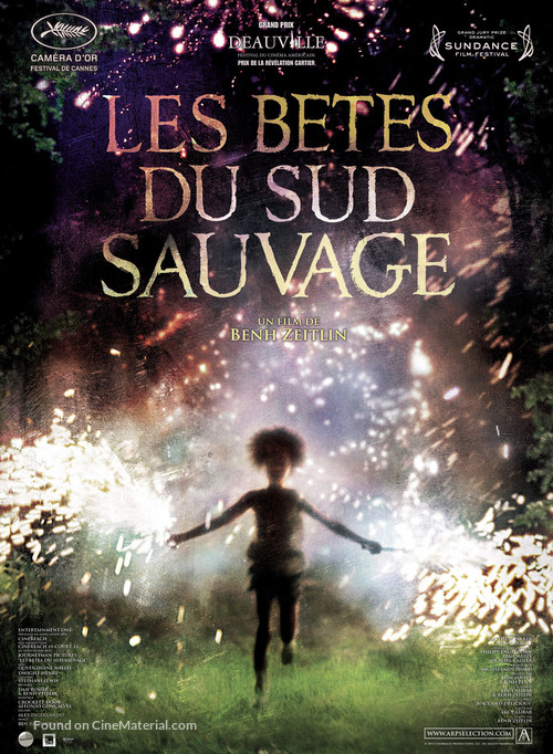 Beasts of the Southern Wild - French Movie Poster