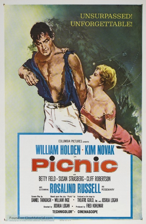 Picnic - Movie Poster