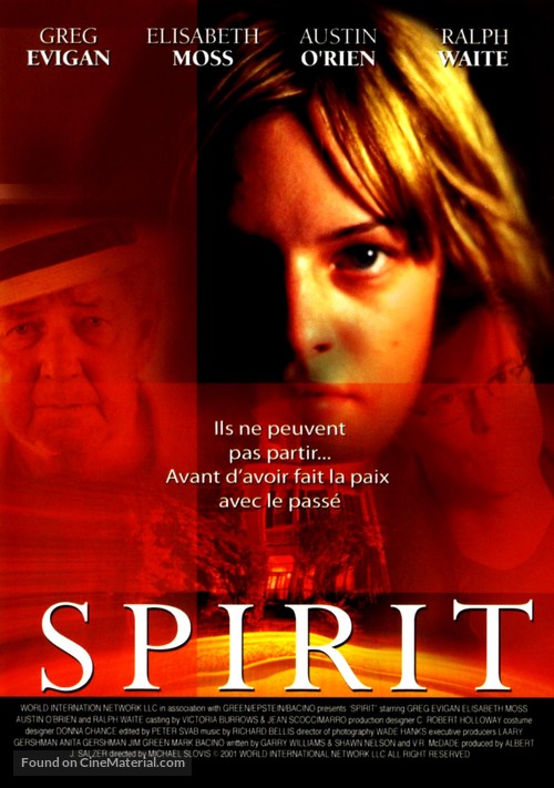 Spirit - French DVD movie cover
