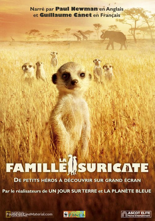 The Meerkats - Swiss Movie Cover