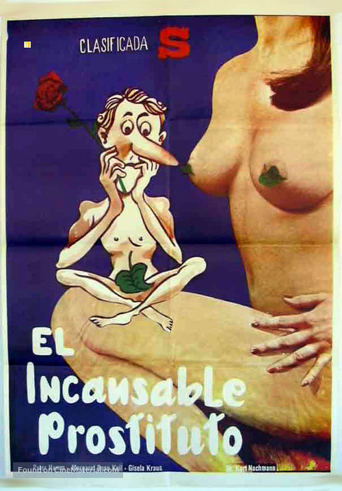 Ein echter Hausfrauenfreund - Spanish Movie Poster