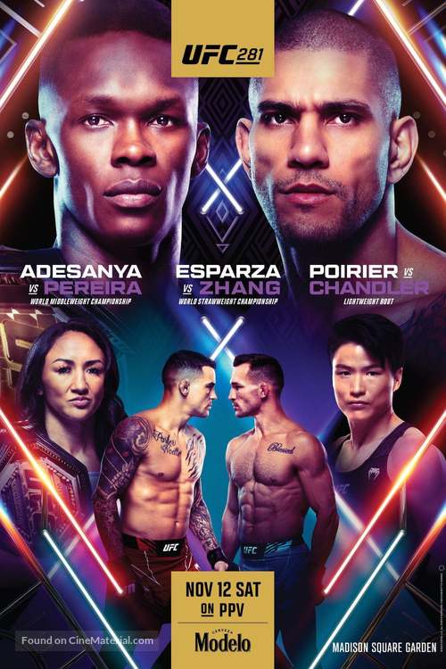 UFC 281: Adesanya vs. Pereira - Movie Poster