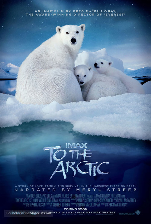 To the Arctic 3D - Movie Poster