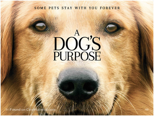 A Dog&#039;s Purpose - British Movie Poster