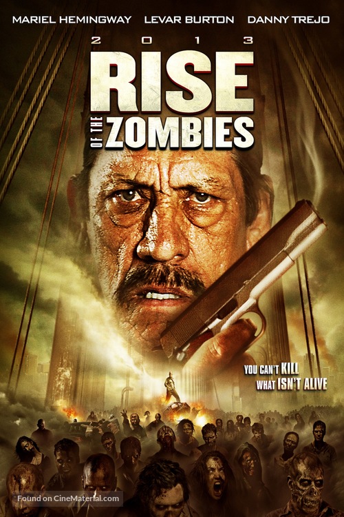 Rise of the Zombies - Video release movie poster