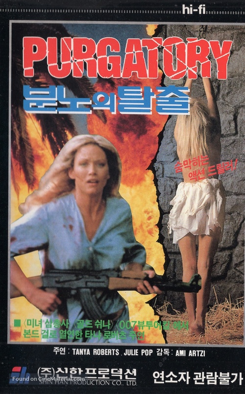 Purgatory - South Korean VHS movie cover