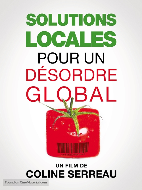 Solutions locales pour d&eacute;sordre global - French Movie Poster