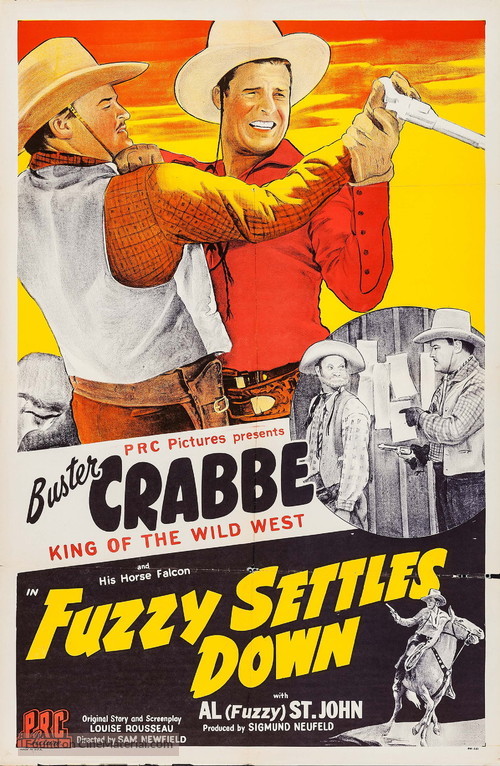 Fuzzy Settles Down - Movie Poster