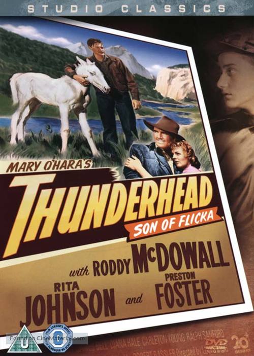 Thunderhead - Son of Flicka - British DVD movie cover