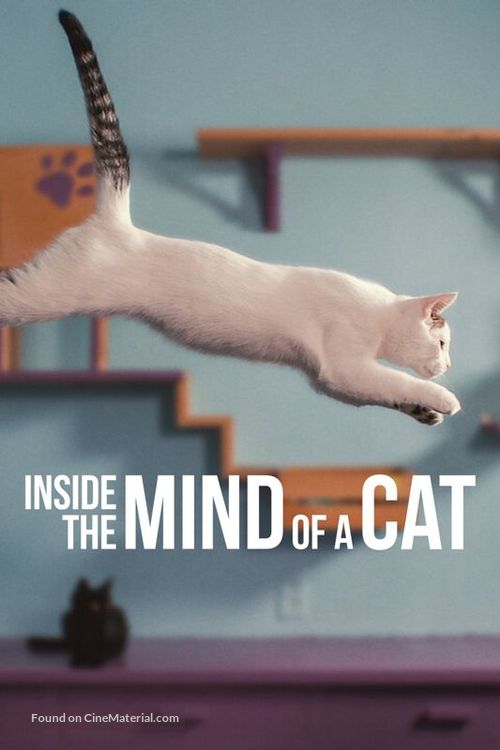 Inside the Mind of a Cat - Movie Cover