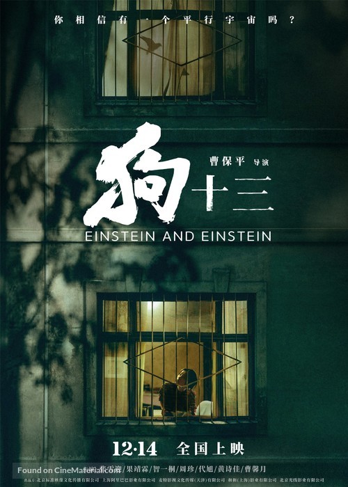 Einstein and Einstein - Chinese Movie Poster